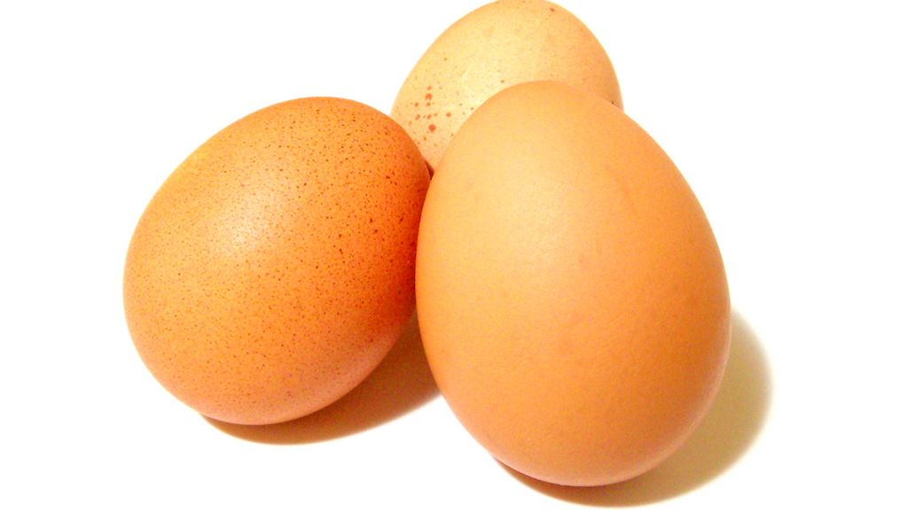 Polacy chcą wyprodukować jajko doskonałe 1