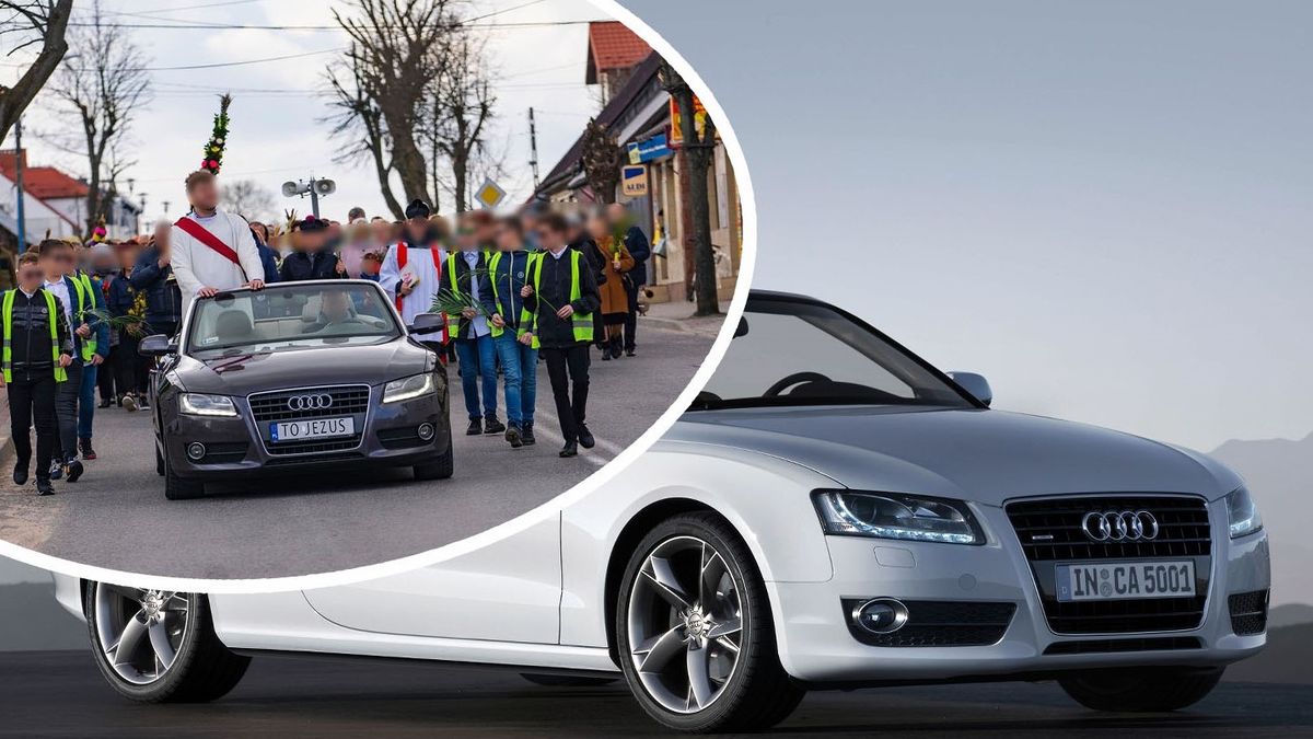 Audi A5 w roli osiołka? Czemu nie