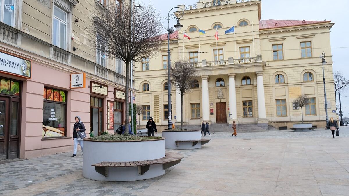 Drzewa w betonowych donicach na pl. Łokietka w Lublinie