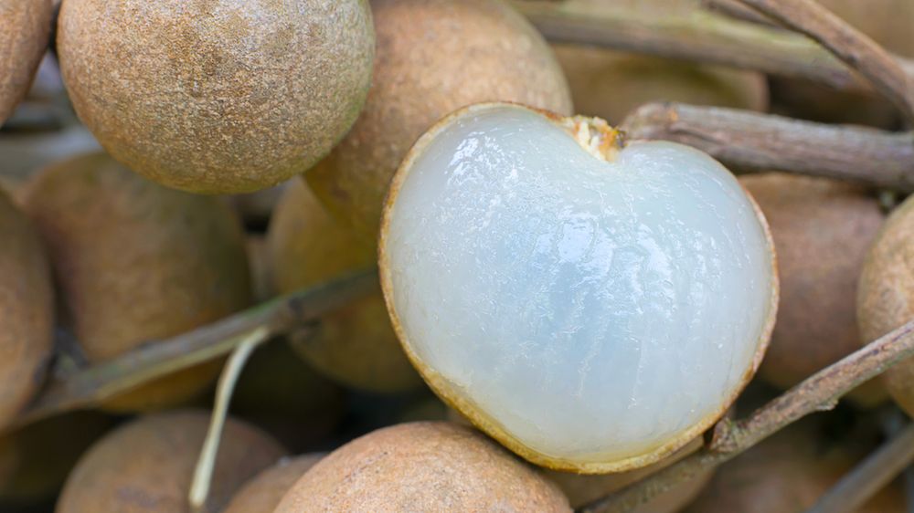 Surowy longan (owoc)