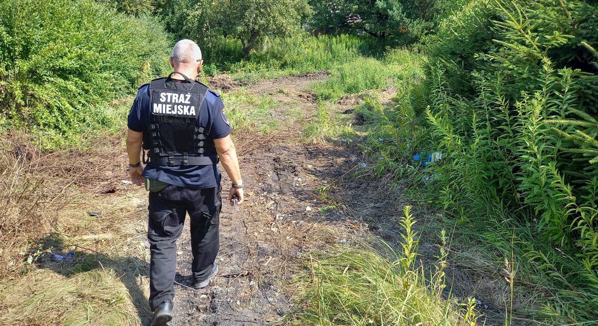 Patrol w okolicy opuszczonych ogródków działkowych