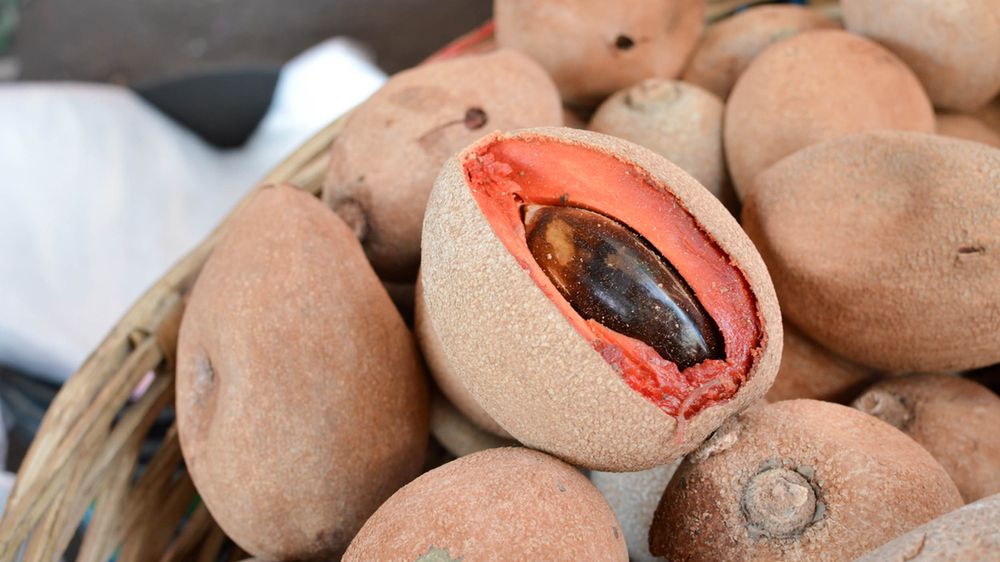 Surowa pouteria sapota (owoc)