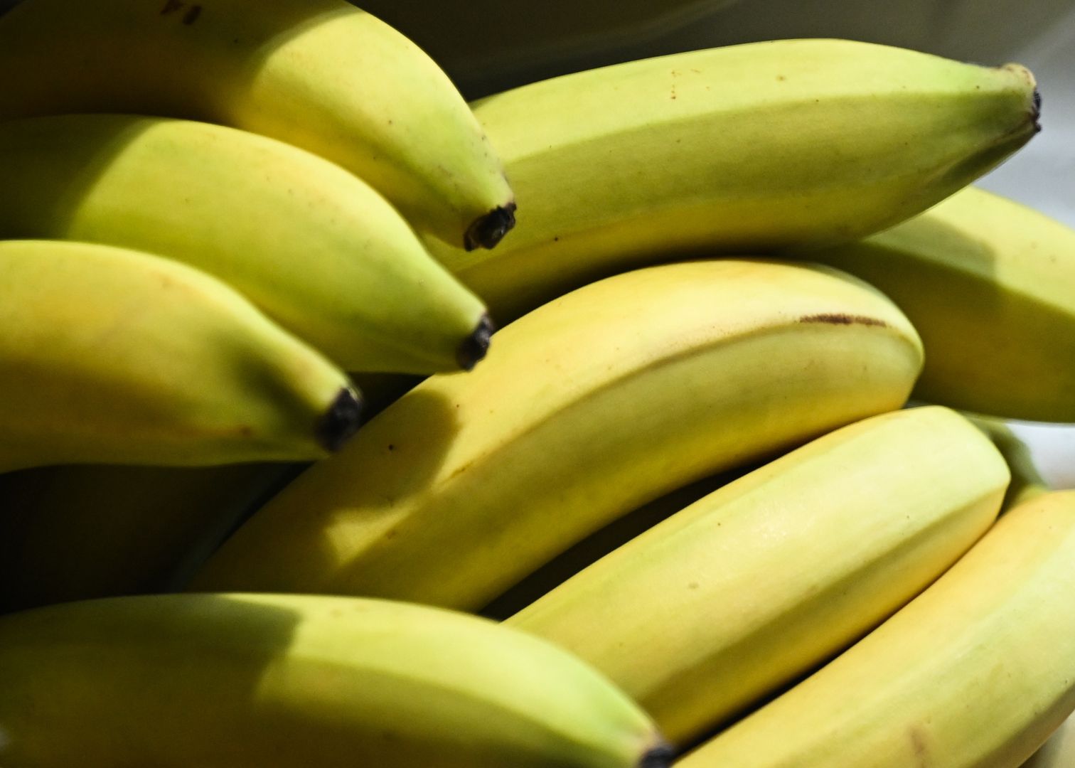 Nowe przepisy dotyczące bananów już obowiązują. Oto zmiany