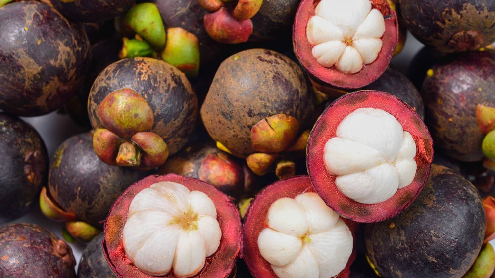 Mangostan właściwy w puszce w syropie