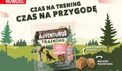 Streetcom wygrywa przetarg marki Purina