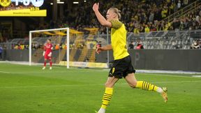 Wielki transfer Haalanda o krok. Dyrektor BVB rusza na negocjacje do giganta