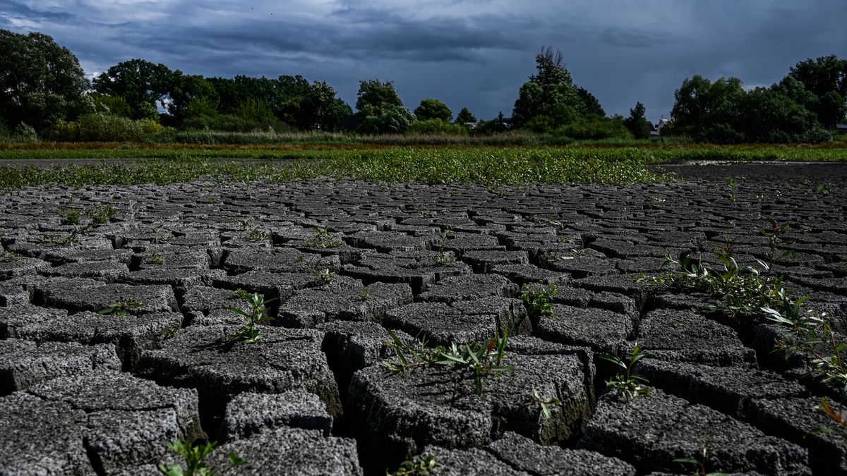 Klimatolog ostrzega. Polsce grozi susza