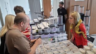 Radom: Drugi dzień Dragon Expo. Gratka dla miłośników egzotycznych zwierząt