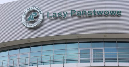 Lasy Państwowe zagrożone upadkiem finansowym? Poseł PiS wzywa do referendum