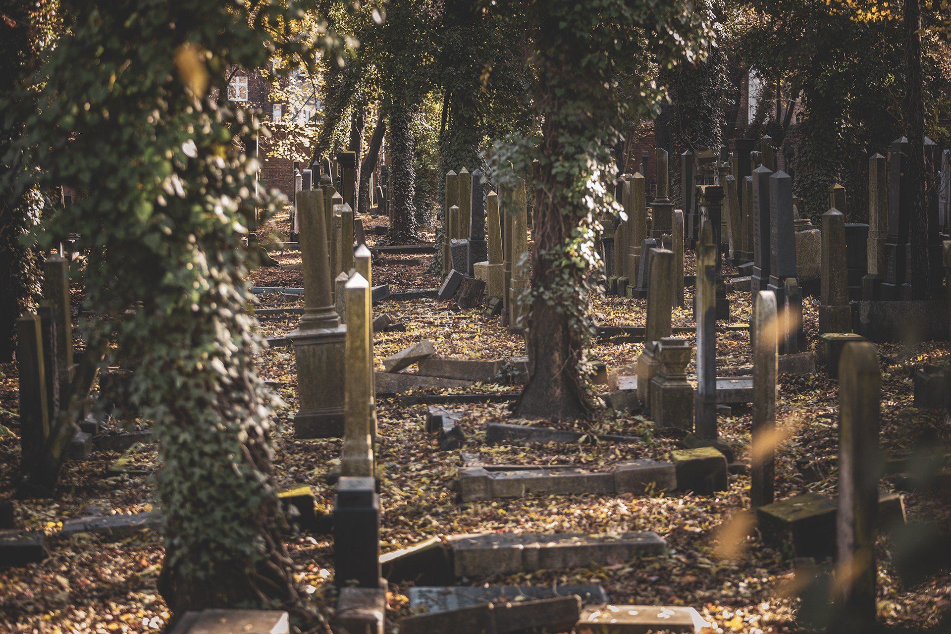 Cmentarz żydowski w Katowicach