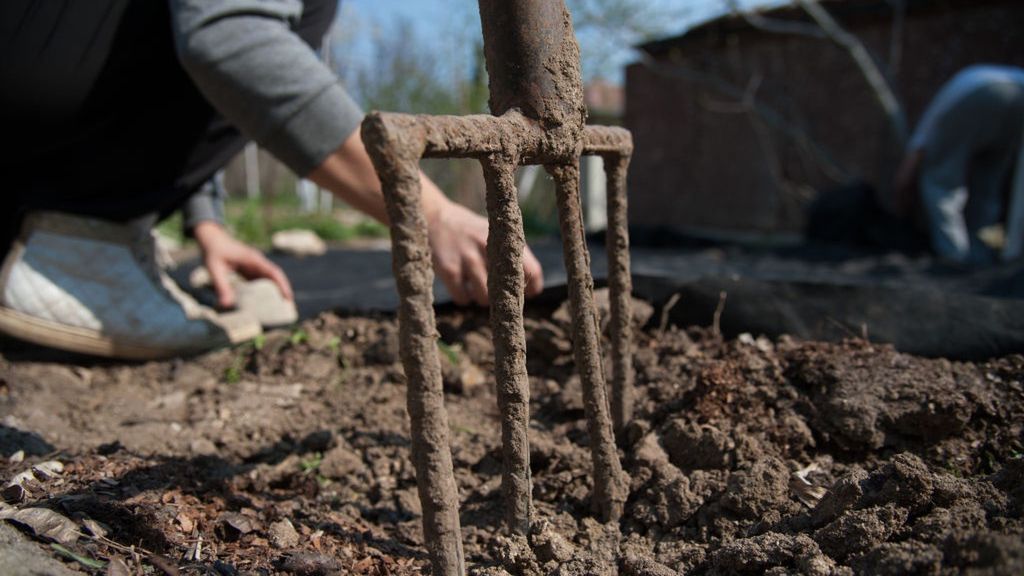 Przez 15 lat ubyło prawie 600 ogrodów działkowych