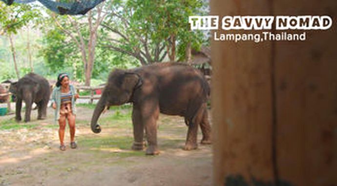 The Savvy Nomad Thailand