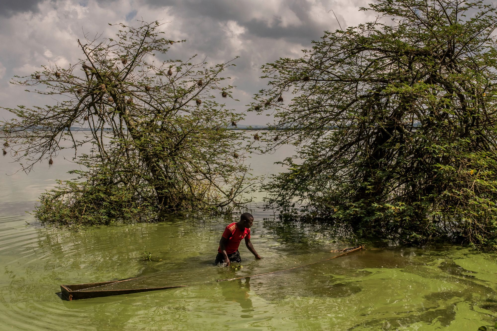 World Press Photo 2020: Yasuyoshi Chiba Fotografem Roku 2020 41