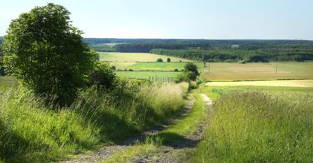 W tej wsi na Lubelszczyźnie mieszkają dwie osoby: sołtys i jego żona