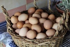 Czym zastąpić jajka? Najlepsze zamienniki, które znajdziesz w kuchni