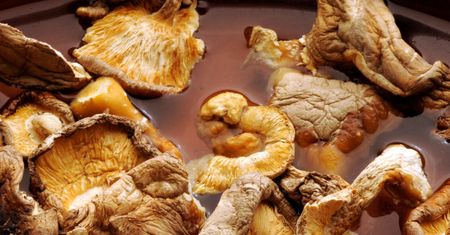 Najlepszy czas moczenia grzybów. Miękną, są delikatne, ale nie tracą ani odrobiny smaku