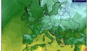 Cały kraj w alertach. IMGW ostrzega przed nadchodzącą nocą