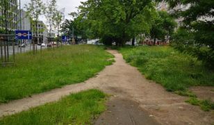 Wrocław. Powstanie nowa ścieżka rowerowa. Miasto poszukuje wykonawcy