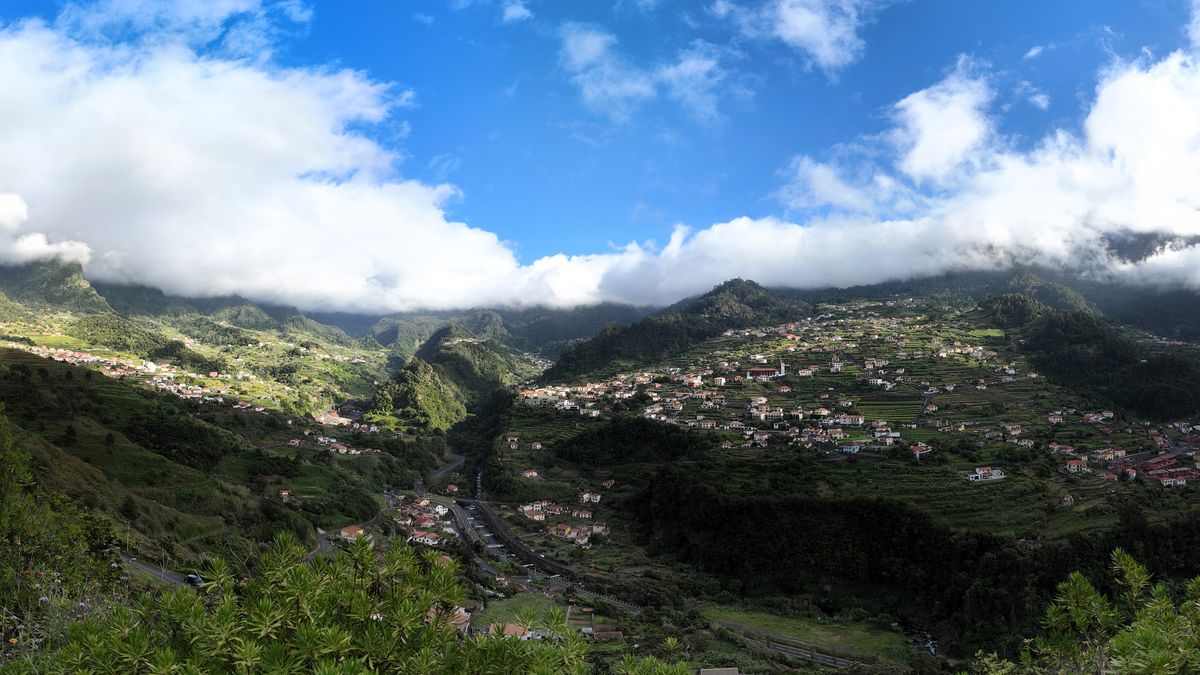São Vicente, Madera