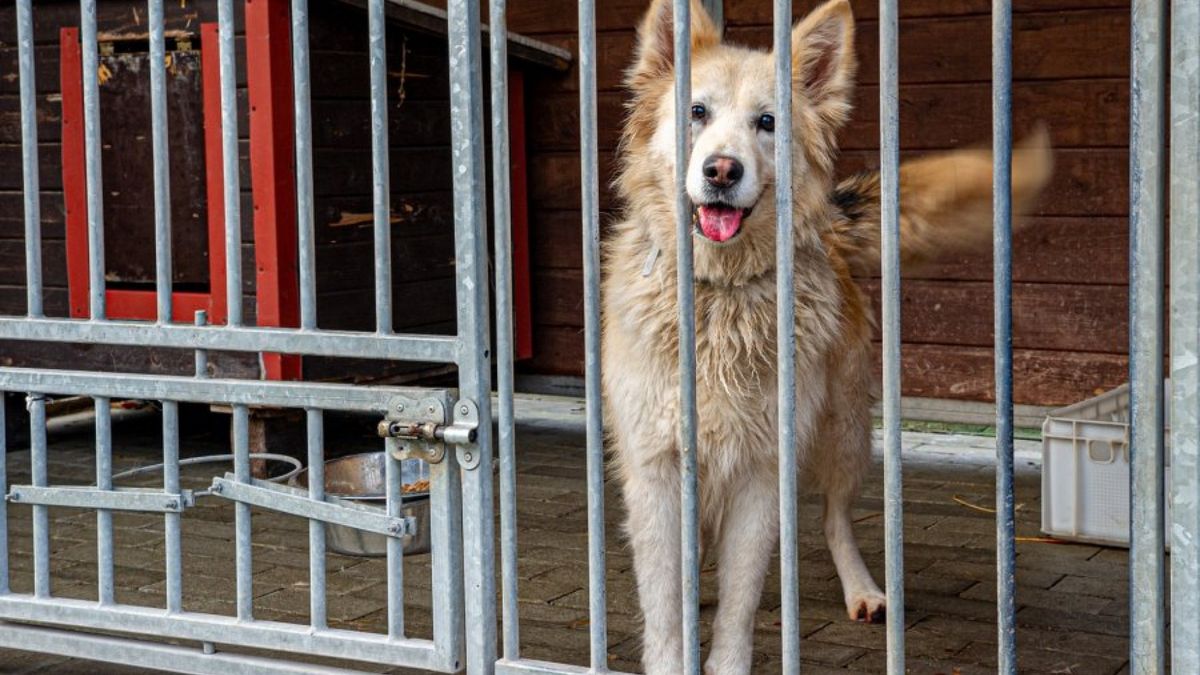 Podopieczni placówki mieli być zaniedbywani. 