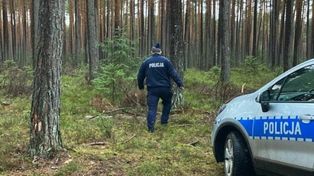 Tragiczny wypadek podczas prac w lesie. Nie żyje 41-letni mężczyzna