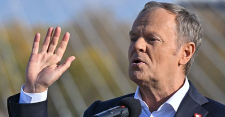 "Cyniczna postawa". Jest sprzeciw HFPC wobec słów Tuska