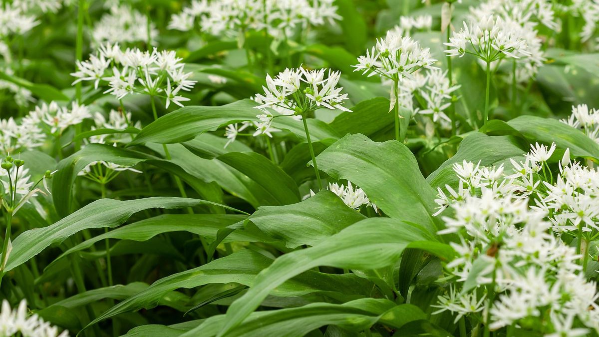 Zdjęcie ilustracyjne. 