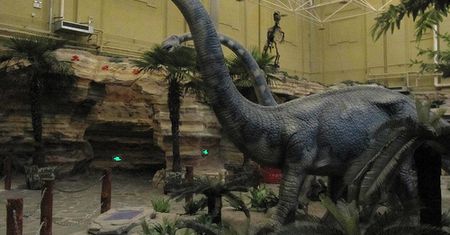 Najstarsze zarodki dinozaurów odkryto w Chinach