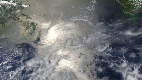 Plama ropy może zaatakować rafy koralowe 1