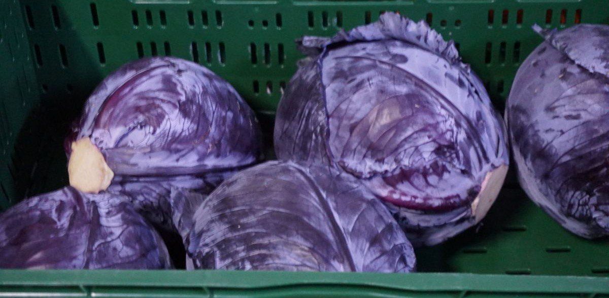 Kapusta. Aktualne ceny w hurcie