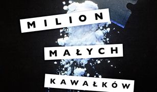 Milion małych kawałków. Nowe wydanie