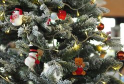 Szczecin. Sąsiedzi donieśli o łamaniu obostrzeń w Wigilię. Interweniowała policja