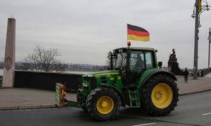 Niemcy chcą płacić mniej migrantom za pracę w polu. W tym Polakom