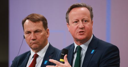 Cameron o całkowitym wstrzymaniu importu gazu z Rosji: Nadszedł czas