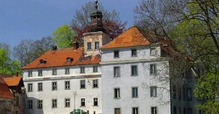 Pałac w Dziwiszowie. Posiadłość warta miliony wystawiona na sprzedaż