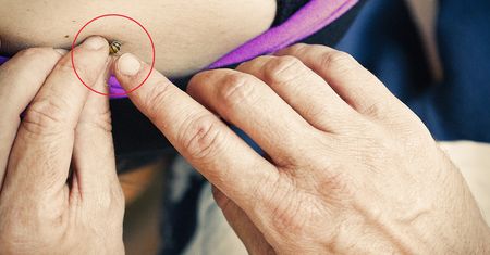 Ratownicy mówią o pladze. "10 minut i człowiek może już nie żyć"