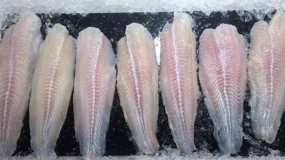 Panga to najgorszy wybór dla dzieci