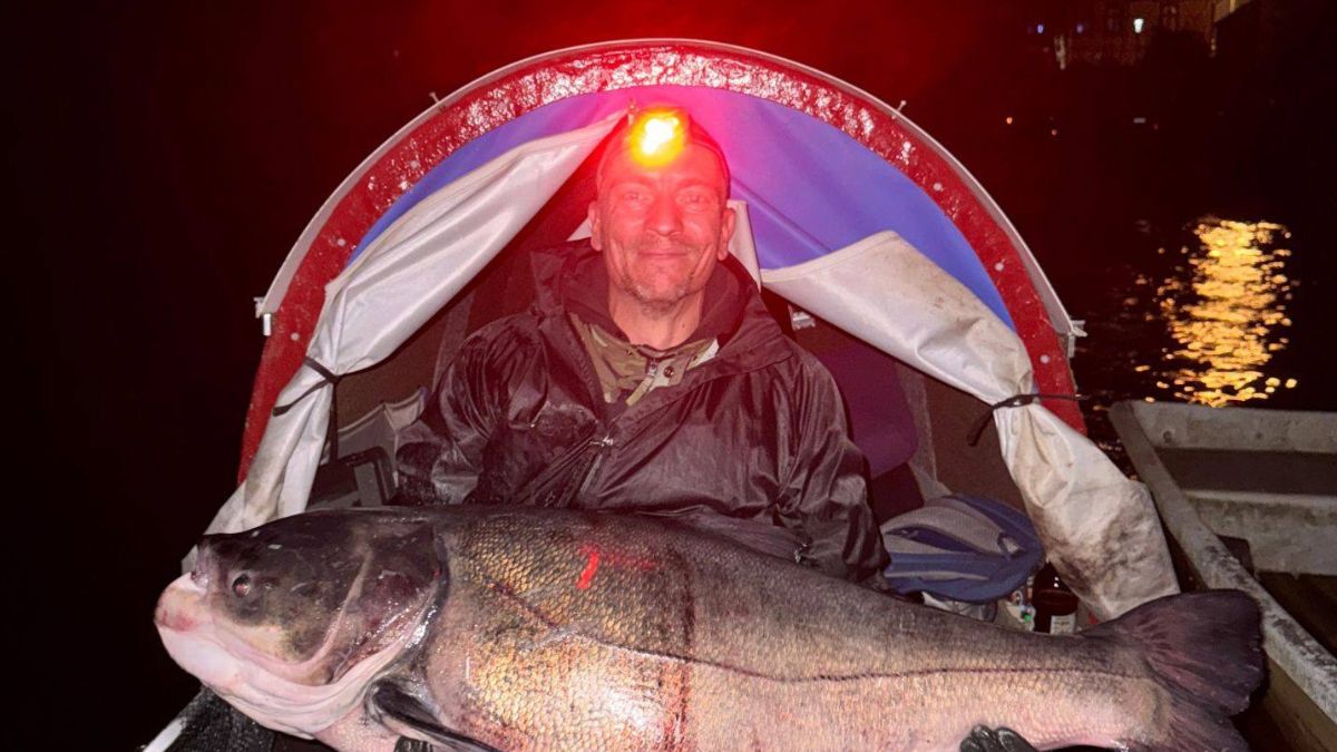 Gigantyczny karp złowiony pod osłoną nocy. Walka trwała 2 godz.