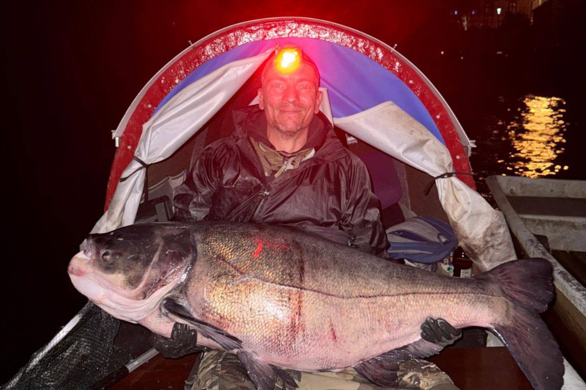 Dwie godziny walczył z gigantyczną rybą. "Ten potwór wyglądał strasznie"