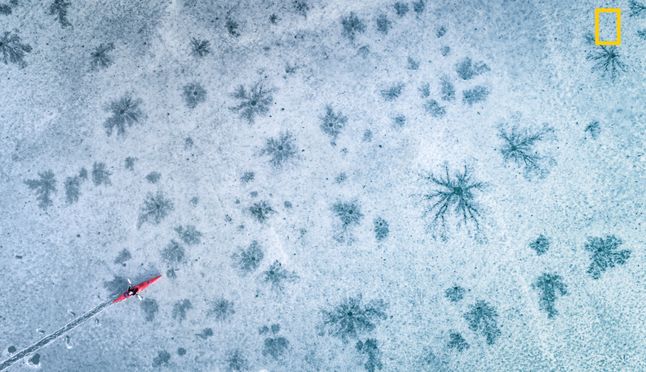 W każdej z kategorii zostanie wyłoniony jeden zwycięzca. Ich zdjęcia mają być pokazane na nationalgeographic.com, co już samo w sobie jest sporym wyróżnieniem. Wyniki konkursu zostaną podane w grudniu 2017 roku.