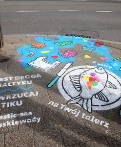 Gdańsk włącza się do walki z mikroplastikiem w Bałtyku