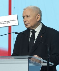 Kaczyński odpowiada Tuskowi. "Jest coś takiego jak wyższość, niższość"