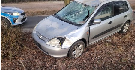 Śmiertelnie potrąciła konia. Mandat dla właściciela