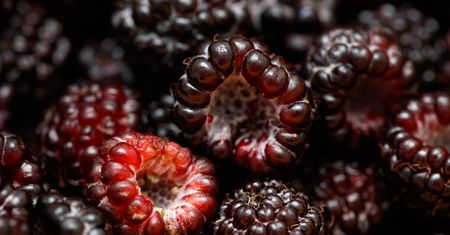 Zbijają wysoki cholesterol, wzmacniają serce. Takich malin szukaj w sklepie i na targowisku