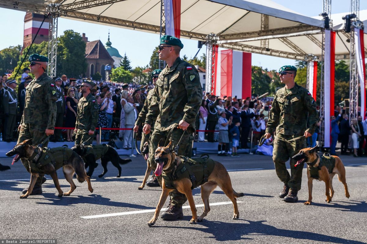 W defiladzie wzięły udział również psy