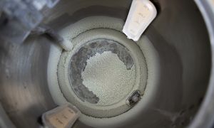 Wlej do czajnika zamiast octu. Kamień odpadnie całymi płatami