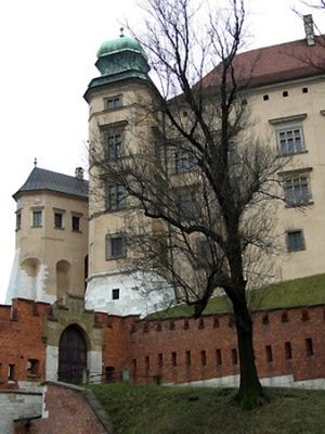 Obraz