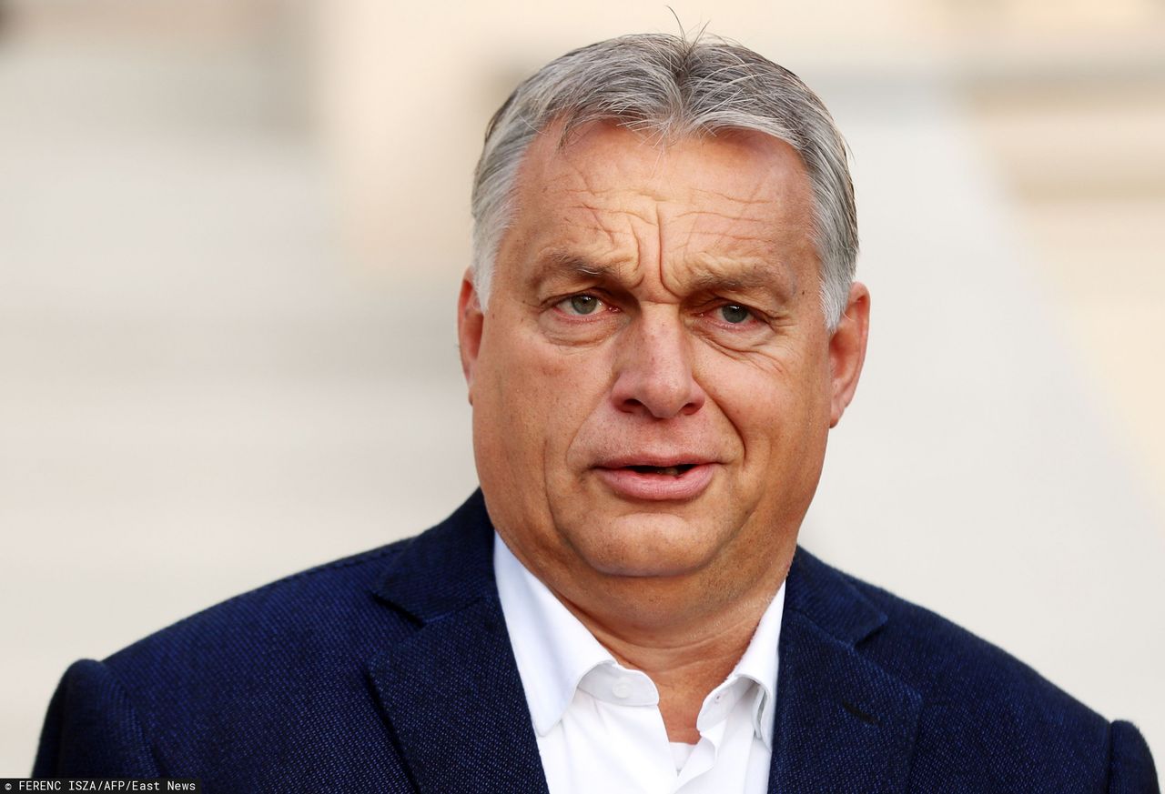 Viktor Orban: Małe kraje nie mogą sobie pozwolić na głupich przywódców