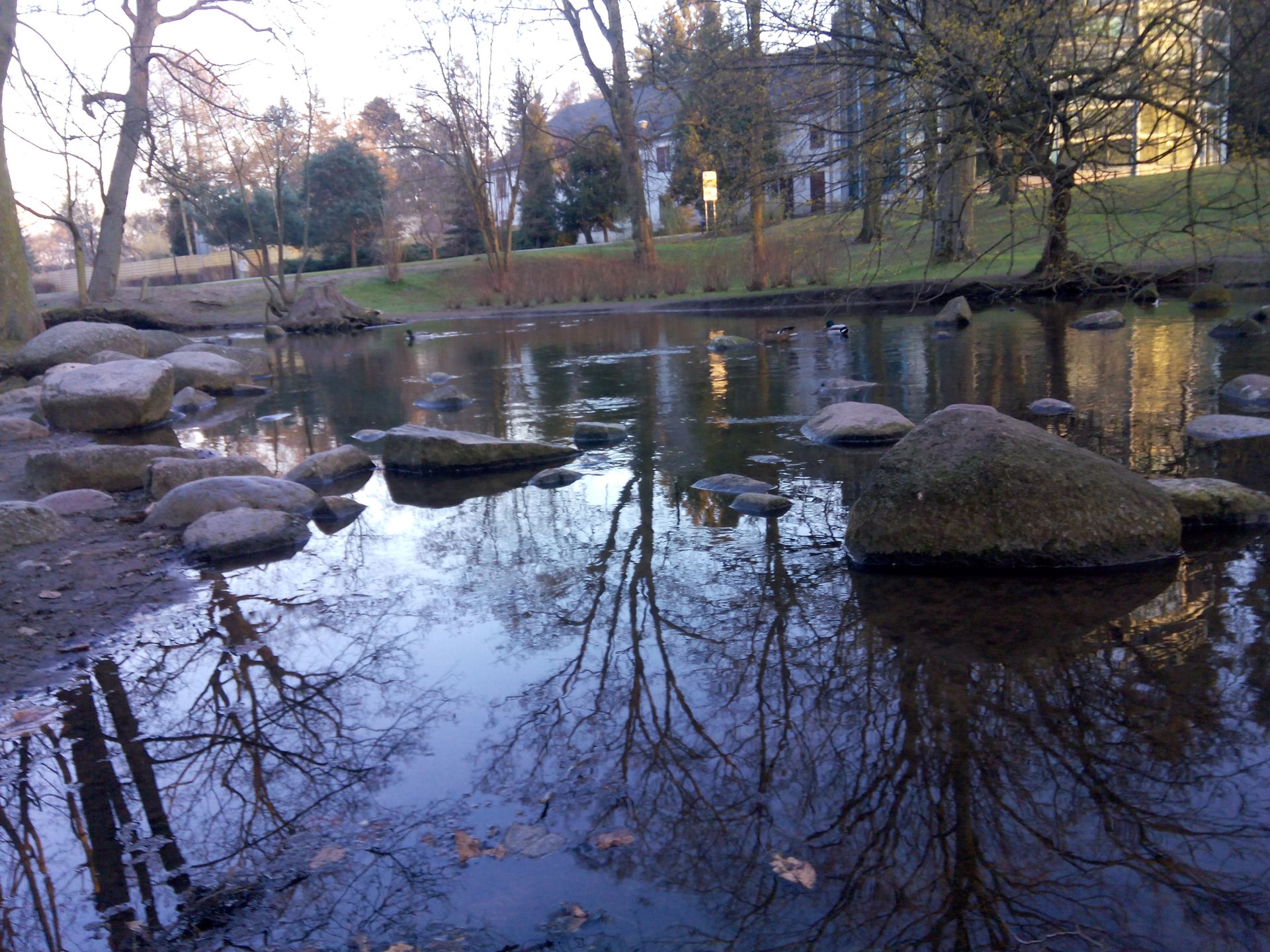 Goclever Insignia 550i - test i recenzja taniego phabletu 25