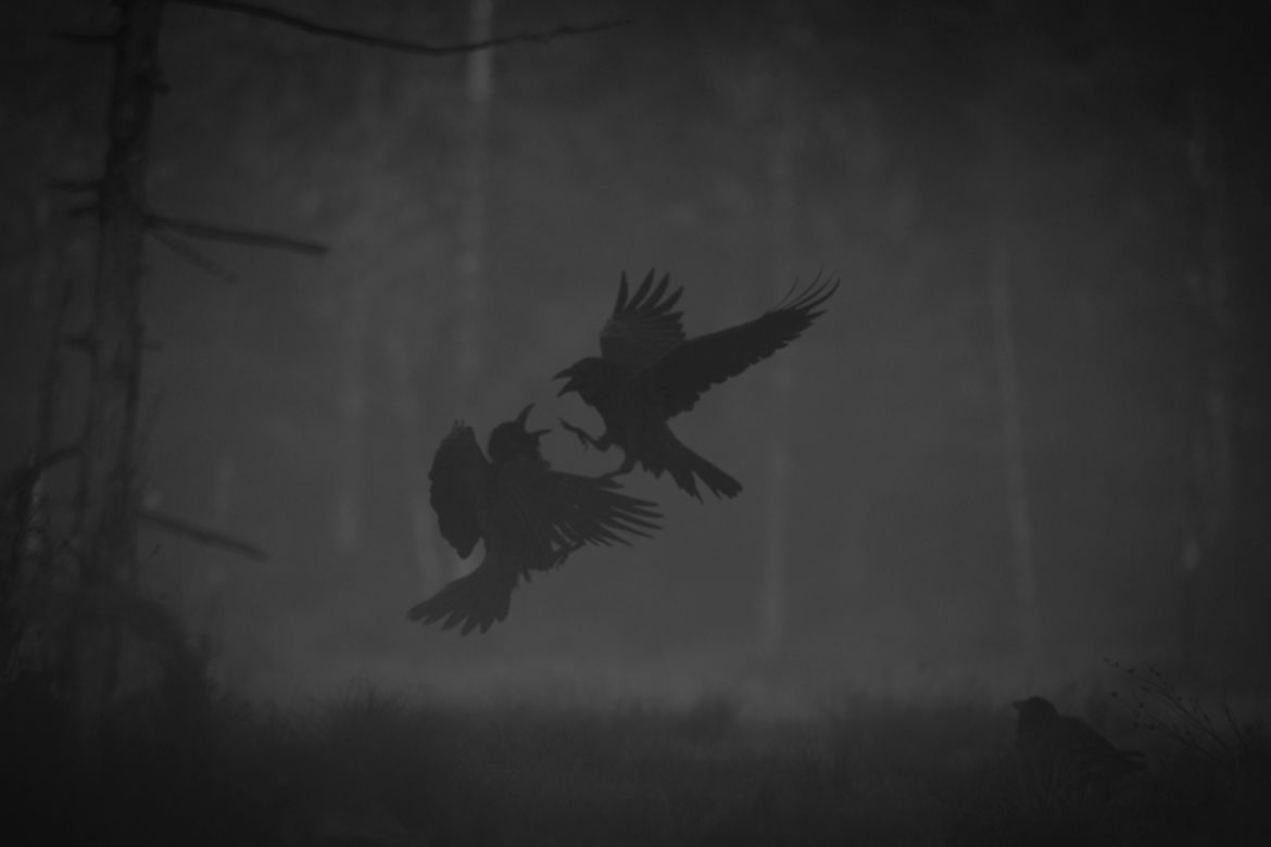 Wielu Polaków na podium w konkursie Monochrome Photography Awards 2017 76